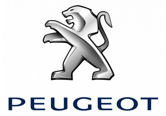 Relatief Begin ethiek Automatten - Pasvorm automat voor elke Peugeot - AutomattenSjop
